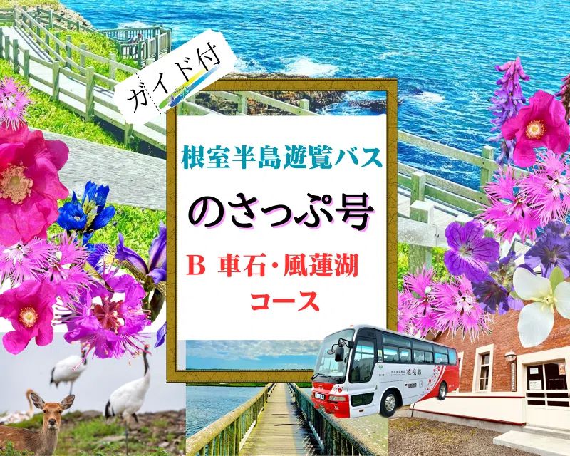 Discoverひがし北海道”がオススメするバス旅と地域アクティビティ商品をご紹介！ ～ひがし北海道をめぐるガイド付き観光バス＆感動の体験～ |  株式会社阿寒バス商事 阿寒バス旅行サービス